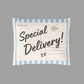 10x13" Special Delivery Poly Mailer