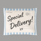 14x19" Special Delivery Poly Mailer