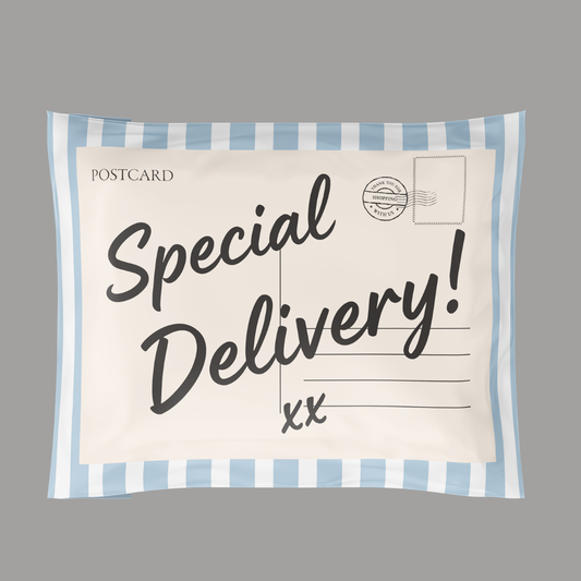 14x19" Special Delivery Poly Mailer